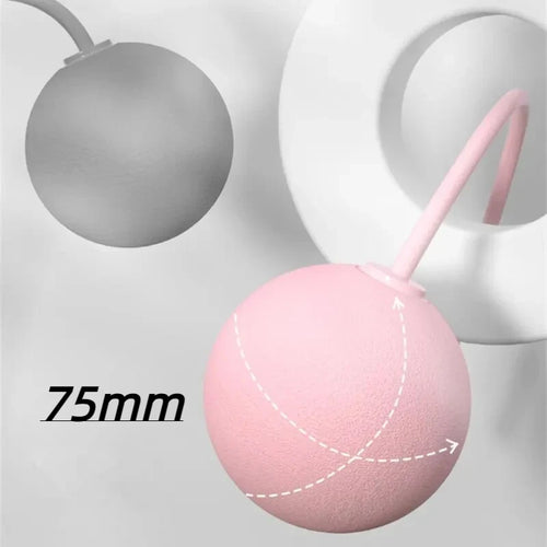 1Pcs Cordless Jump Rope Home Gym Equipment With Heavy Balls Sports Fitness Training Bodybuilding Exercise Rapid Speed Skipping