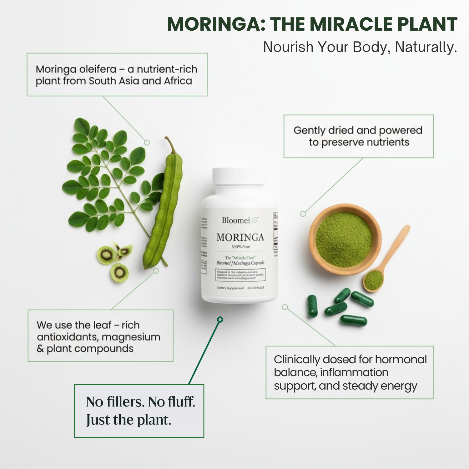 Learn why Moringa is called the