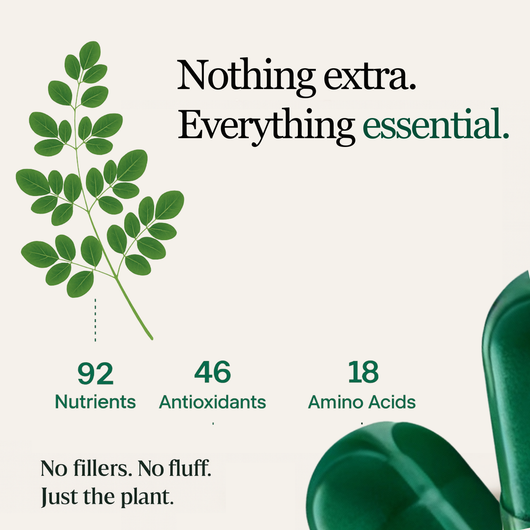 Moringa Capsules (800mg)